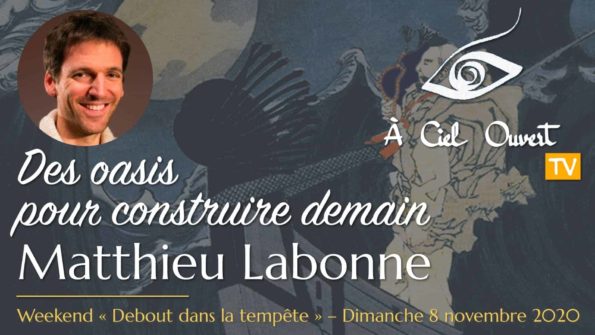Matthieu Labonne – Des oasis pour construire demain