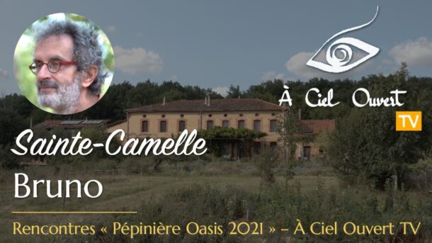 {{brizy_dc_image_alt entityId=